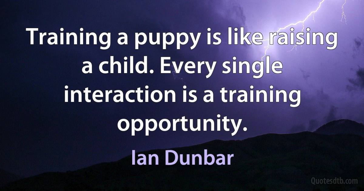 Training a puppy is like raising a child. Every single interaction is a training opportunity. (Ian Dunbar)