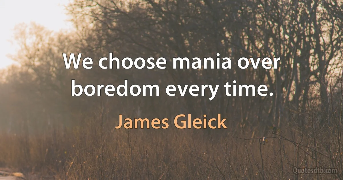 We choose mania over boredom every time. (James Gleick)