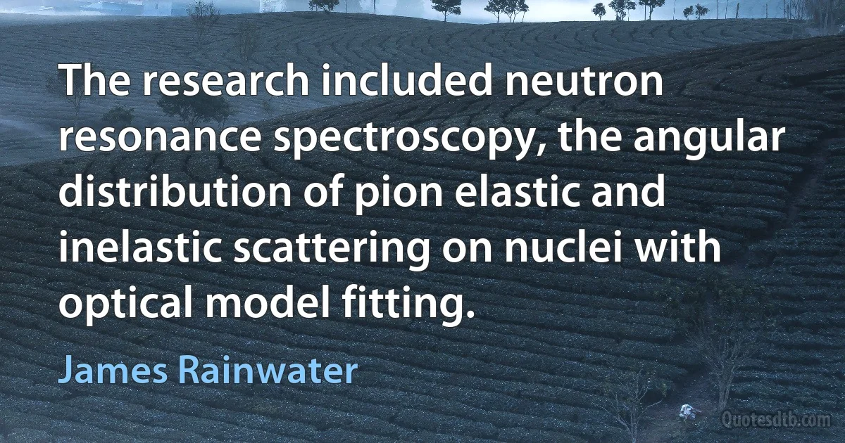 The research included neutron resonance spectroscopy, the angular distribution of pion elastic and inelastic scattering on nuclei with optical model fitting. (James Rainwater)