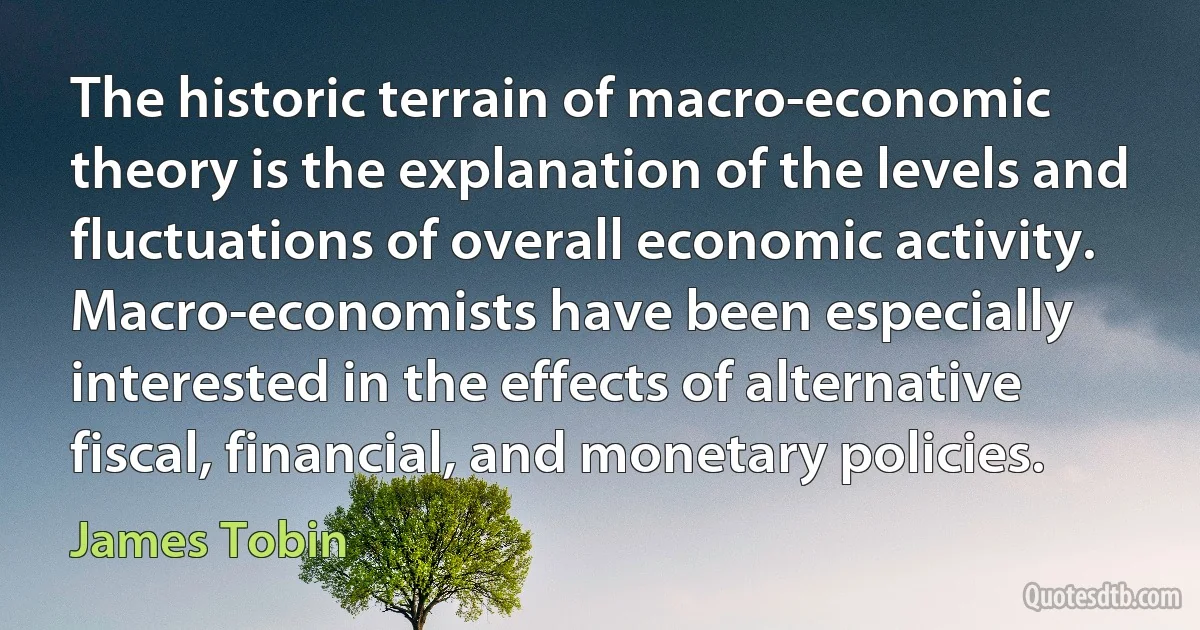 The historic terrain of macro-economic theory is the explanation of the levels and fluctuations of overall economic activity. Macro-economists have been especially interested in the effects of alternative fiscal, financial, and monetary policies. (James Tobin)