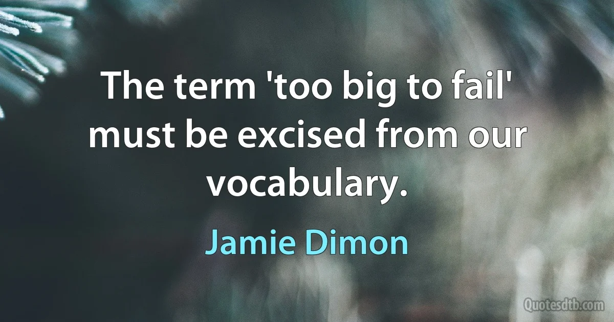 The term 'too big to fail' must be excised from our vocabulary. (Jamie Dimon)