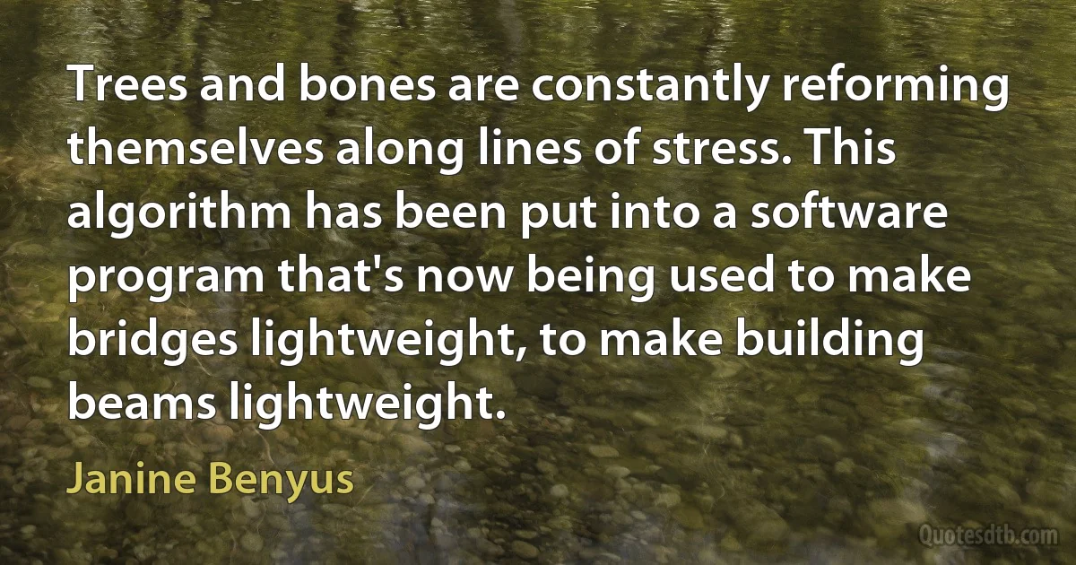 Trees and bones are constantly reforming themselves along lines of stress. This algorithm has been put into a software program that's now being used to make bridges lightweight, to make building beams lightweight. (Janine Benyus)