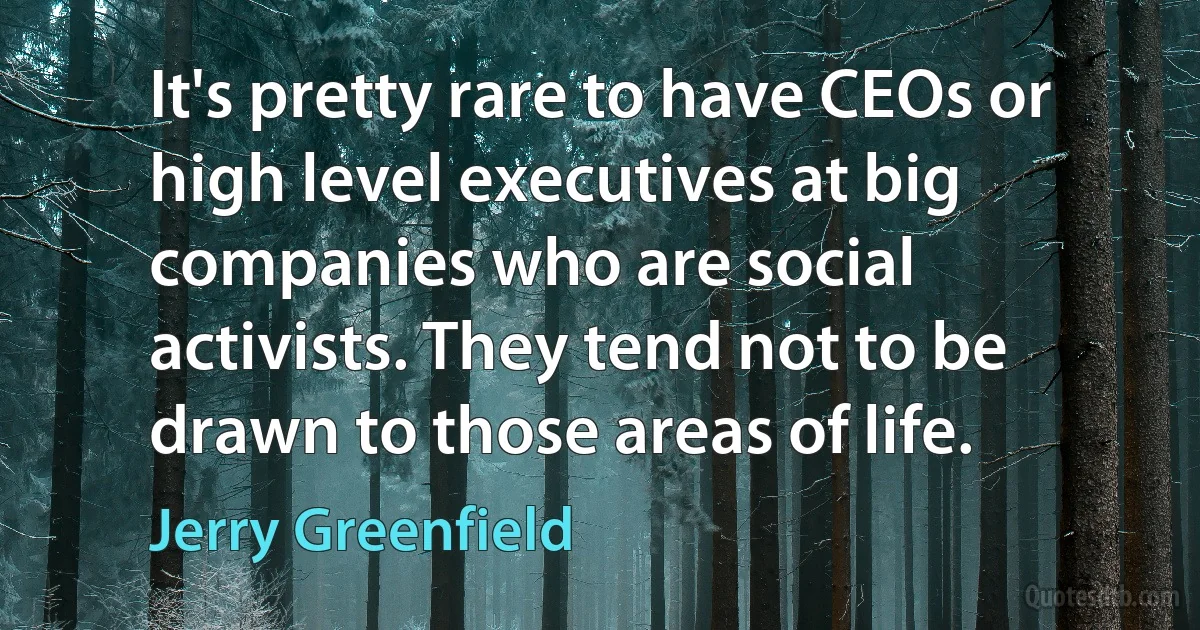 It's pretty rare to have CEOs or high level executives at big companies who are social activists. They tend not to be drawn to those areas of life. (Jerry Greenfield)