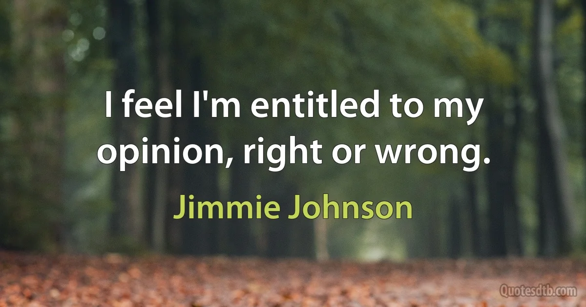 I feel I'm entitled to my opinion, right or wrong. (Jimmie Johnson)