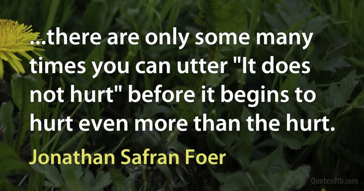 ...there are only some many times you can utter "It does not hurt" before it begins to hurt even more than the hurt. (Jonathan Safran Foer)