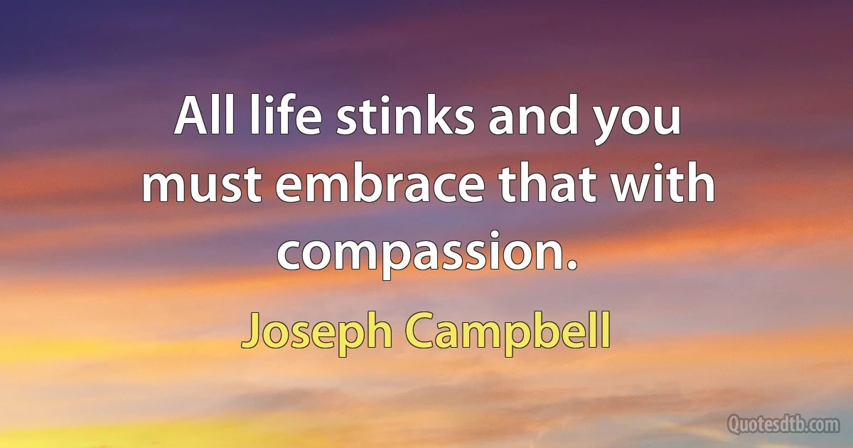 All life stinks and you must embrace that with compassion. (Joseph Campbell)