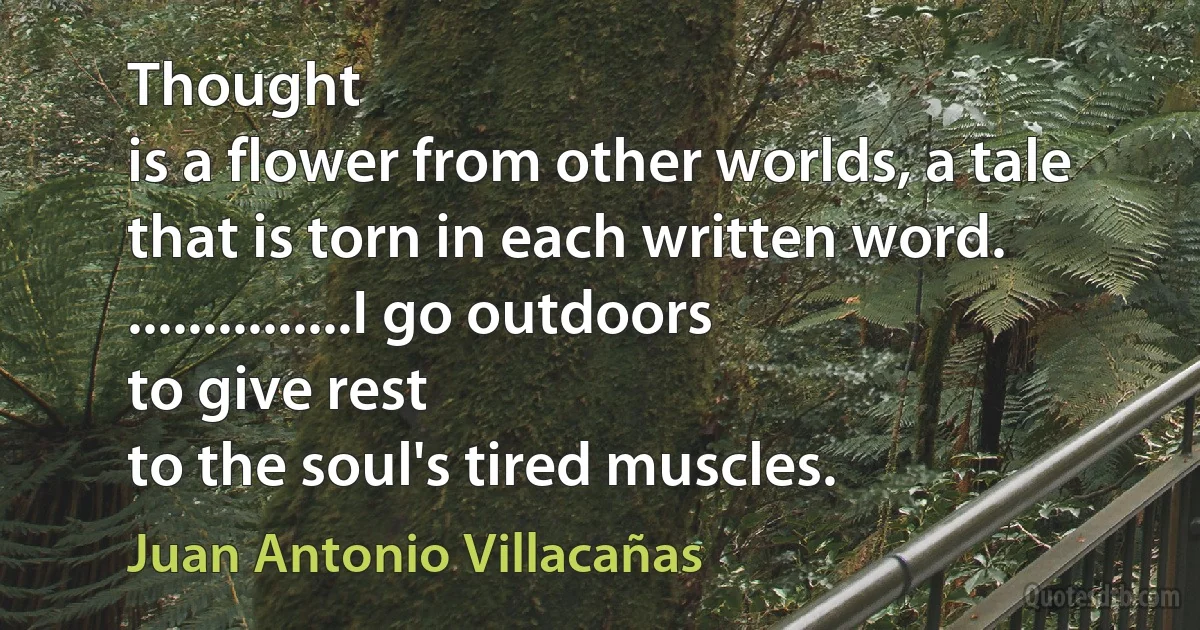 Thought
is a flower from other worlds, a tale
that is torn in each written word.
...............I go outdoors
to give rest
to the soul's tired muscles. (Juan Antonio Villacañas)