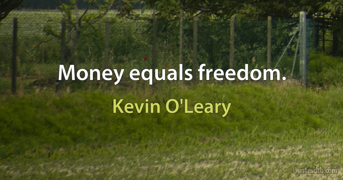 Money equals freedom. (Kevin O'Leary)