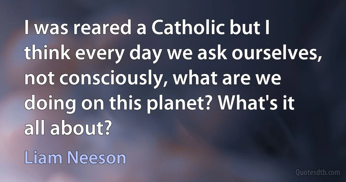 I was reared a Catholic but I think every day we ask ourselves, not consciously, what are we doing on this planet? What's it all about? (Liam Neeson)