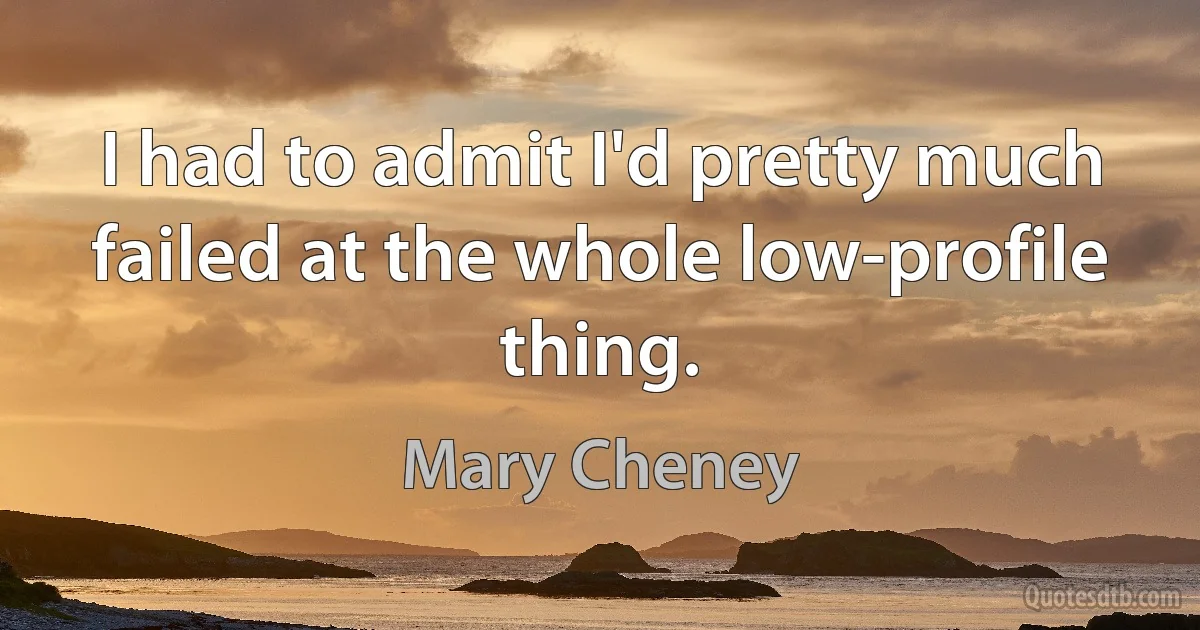 I had to admit I'd pretty much failed at the whole low-profile thing. (Mary Cheney)