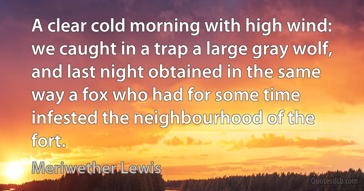 A clear cold morning with high wind: we caught in a trap a large gray wolf, and last night obtained in the same way a fox who had for some time infested the neighbourhood of the fort. (Meriwether Lewis)