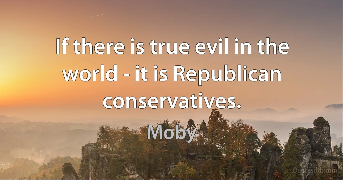 If there is true evil in the world - it is Republican conservatives. (Moby)