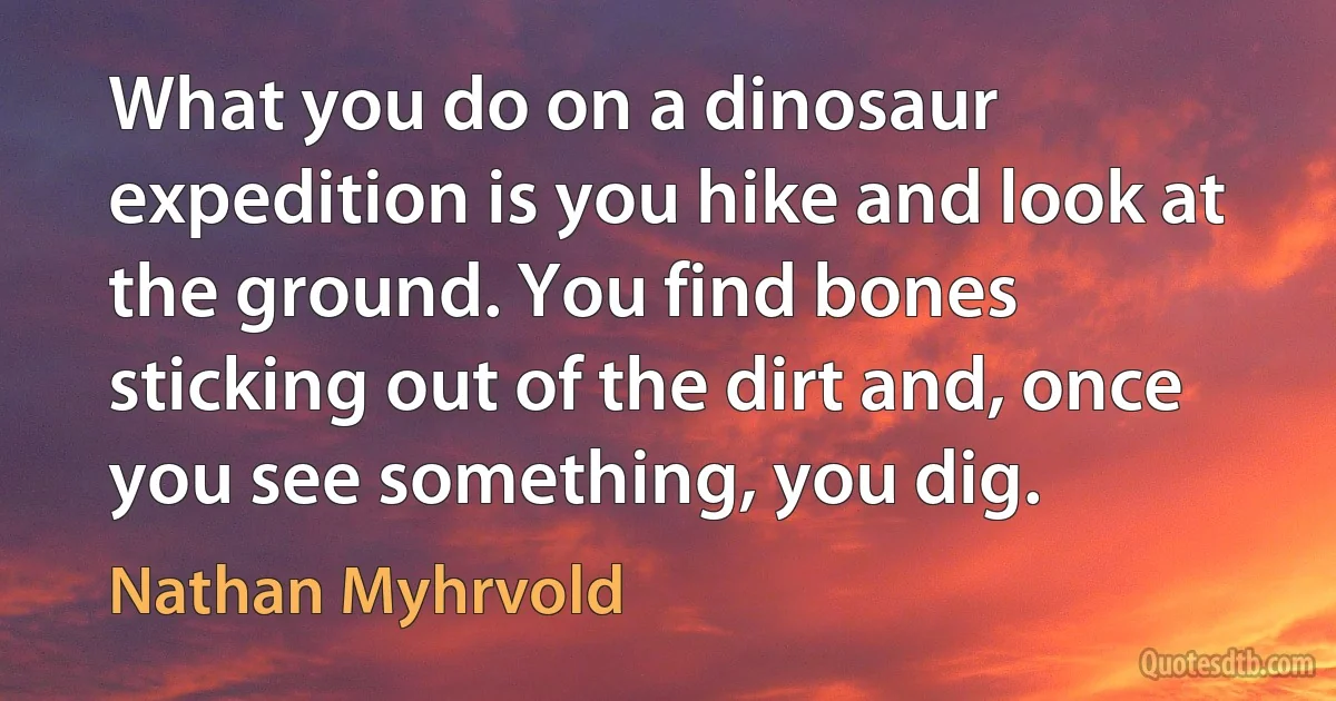 What you do on a dinosaur expedition is you hike and look at the ground. You find bones sticking out of the dirt and, once you see something, you dig. (Nathan Myhrvold)