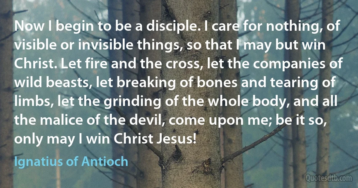 Now I begin to be a disciple. I care for nothing, of visible or invisible things, so that I may but win Christ. Let fire and the cross, let the companies of wild beasts, let breaking of bones and tearing of limbs, let the grinding of the whole body, and all the malice of the devil, come upon me; be it so, only may I win Christ Jesus! (Ignatius of Antioch)