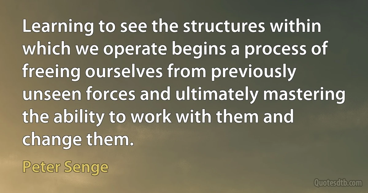 Learning to see the structures within which we operate begins a process of freeing ourselves from previously unseen forces and ultimately mastering the ability to work with them and change them. (Peter Senge)