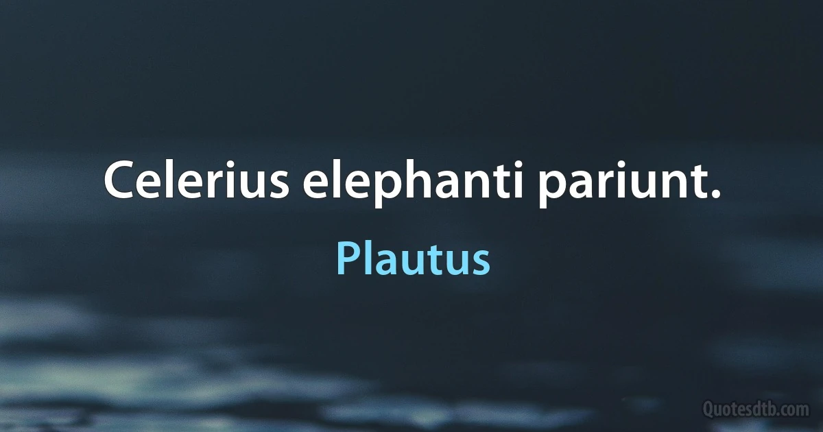 Celerius elephanti pariunt. (Plautus)