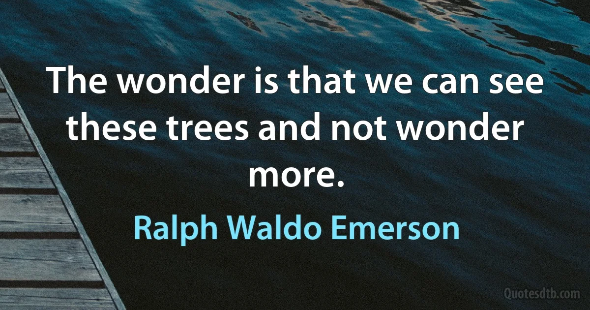 The wonder is that we can see these trees and not wonder more. (Ralph Waldo Emerson)