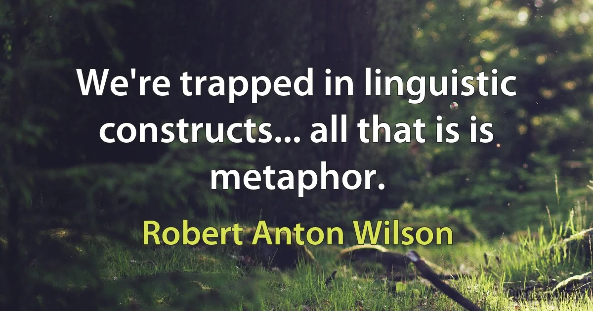 We're trapped in linguistic constructs... all that is is metaphor. (Robert Anton Wilson)