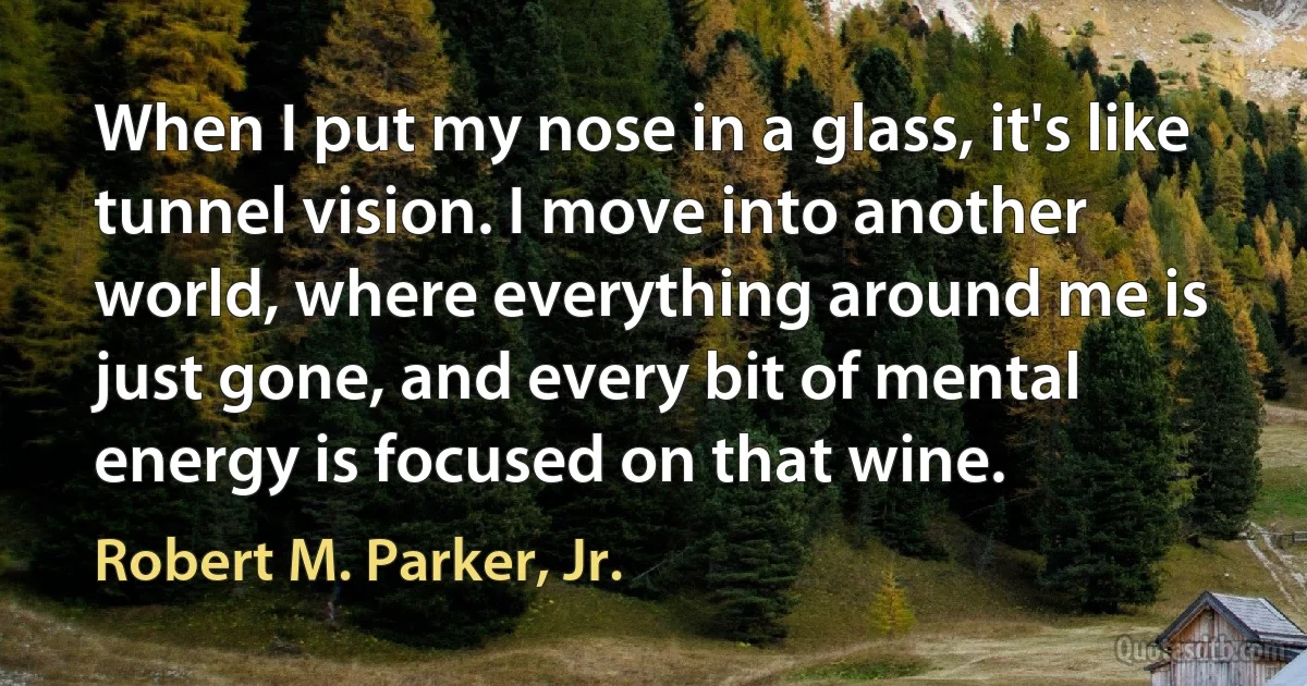 When I put my nose in a glass, it's like tunnel vision. I move into another world, where everything around me is just gone, and every bit of mental energy is focused on that wine. (Robert M. Parker, Jr.)