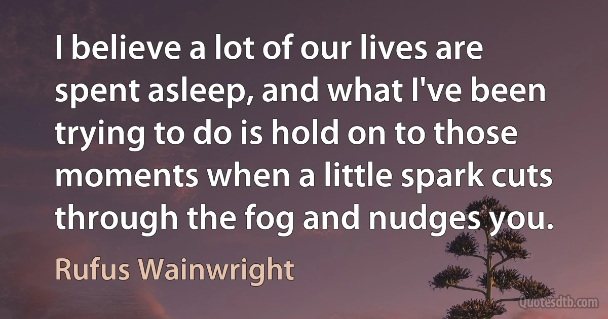 I believe a lot of our lives are spent asleep, and what I've been trying to do is hold on to those moments when a little spark cuts through the fog and nudges you. (Rufus Wainwright)