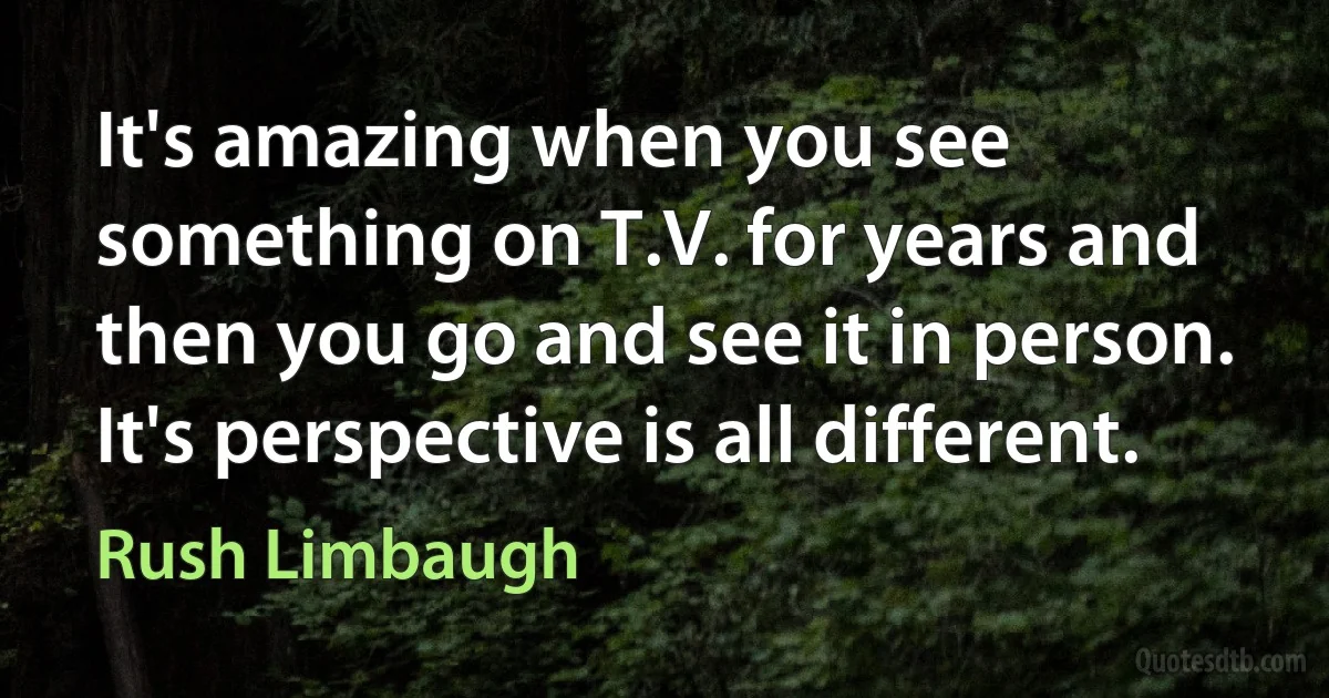 It's amazing when you see something on T.V. for years and then you go and see it in person. It's perspective is all different. (Rush Limbaugh)