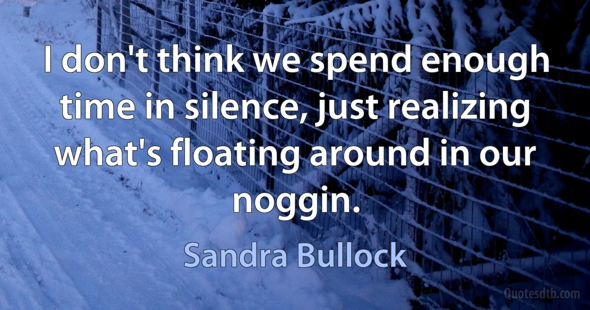 I don't think we spend enough time in silence, just realizing what's floating around in our noggin. (Sandra Bullock)