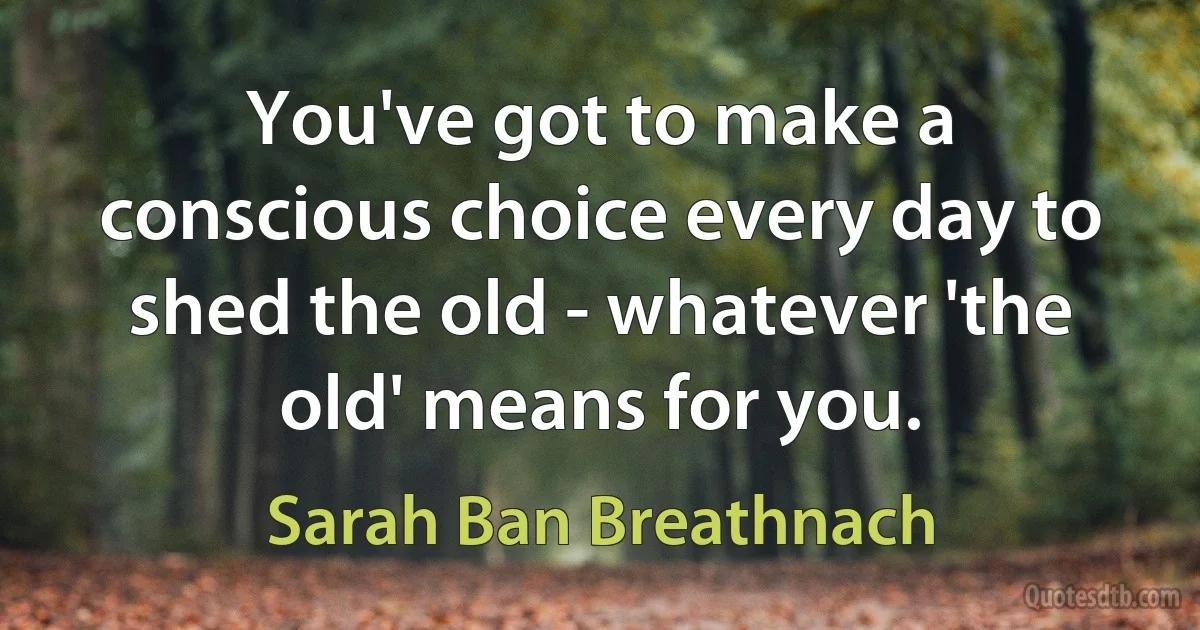 You've got to make a conscious choice every day to shed the old - whatever 'the old' means for you. (Sarah Ban Breathnach)