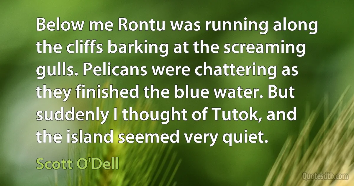 Below me Rontu was running along the cliffs barking at the screaming gulls. Pelicans were chattering as they finished the blue water. But suddenly I thought of Tutok, and the island seemed very quiet. (Scott O'Dell)