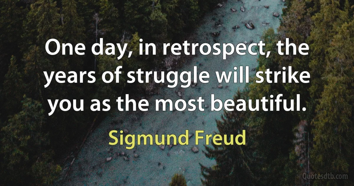 One day, in retrospect, the years of struggle will strike you as the most beautiful. (Sigmund Freud)