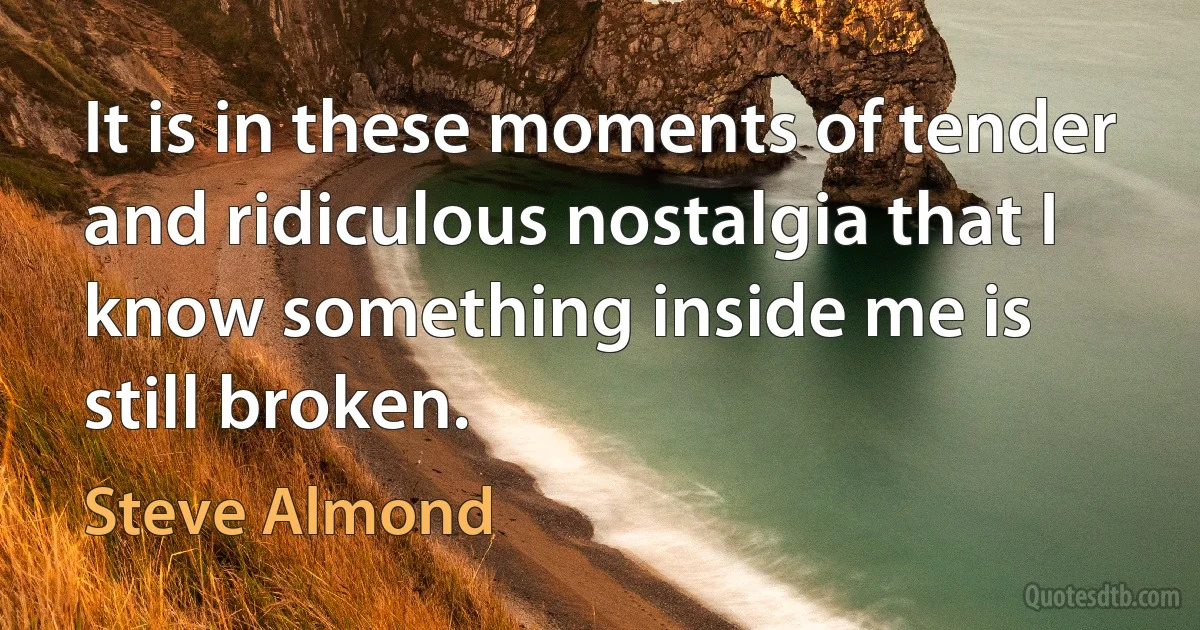 It is in these moments of tender and ridiculous nostalgia that I know something inside me is still broken. (Steve Almond)