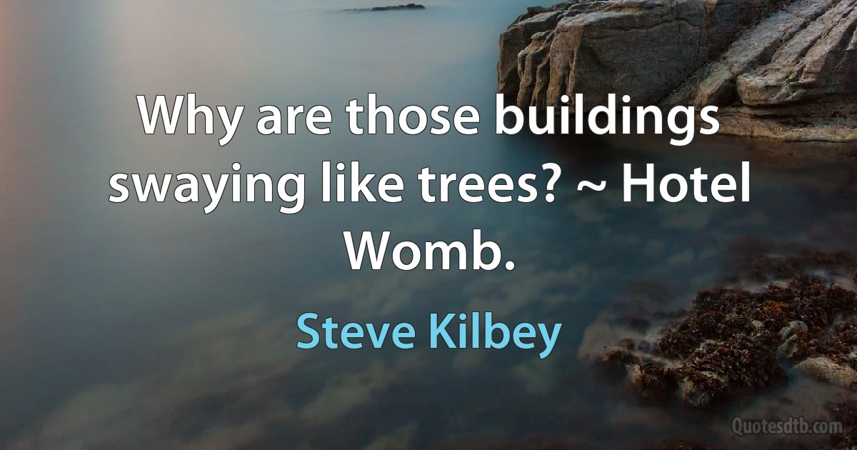 Why are those buildings swaying like trees? ~ Hotel Womb. (Steve Kilbey)