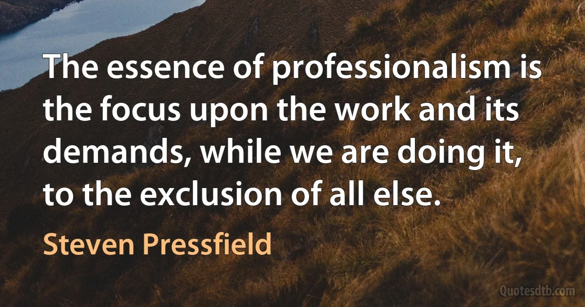 The essence of professionalism is the focus upon the work and its demands, while we are doing it, to the exclusion of all else. (Steven Pressfield)