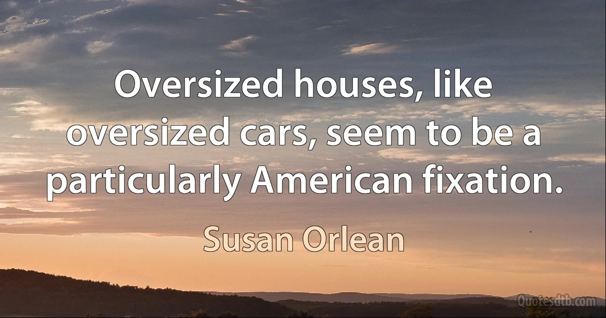 Oversized houses, like oversized cars, seem to be a particularly American fixation. (Susan Orlean)