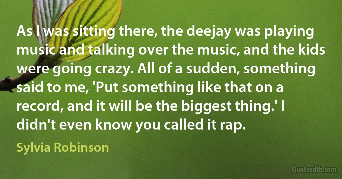 As I was sitting there, the deejay was playing music and talking over the music, and the kids were going crazy. All of a sudden, something said to me, 'Put something like that on a record, and it will be the biggest thing.' I didn't even know you called it rap. (Sylvia Robinson)