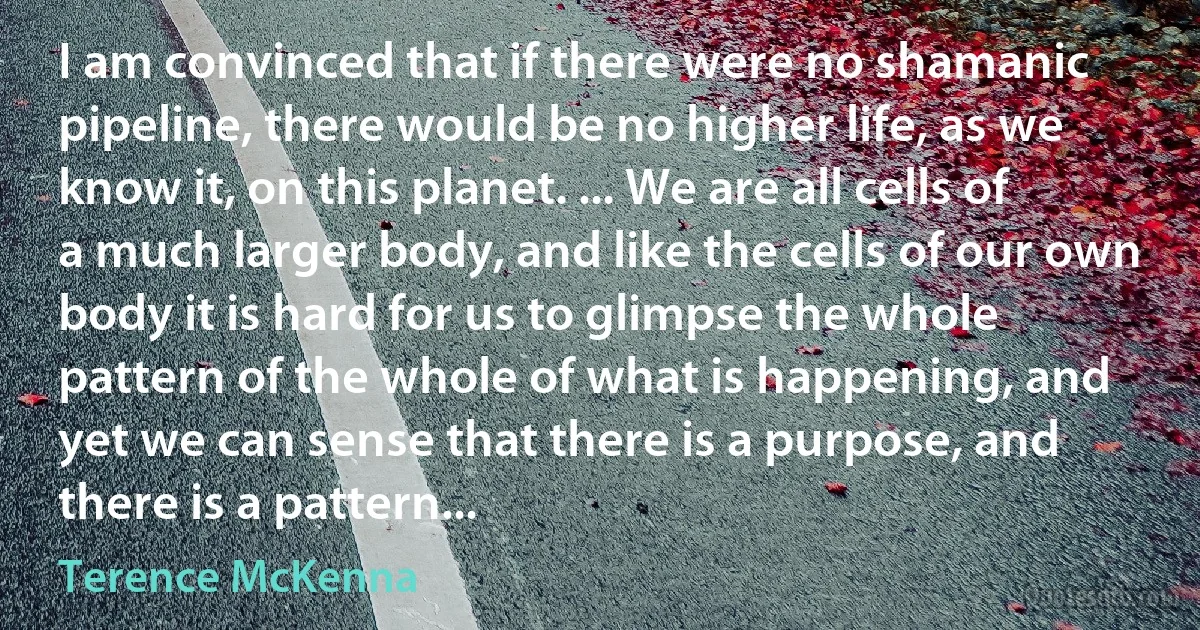 I am convinced that if there were no shamanic pipeline, there would be no higher life, as we know it, on this planet. ... We are all cells of a much larger body, and like the cells of our own body it is hard for us to glimpse the whole pattern of the whole of what is happening, and yet we can sense that there is a purpose, and there is a pattern... (Terence McKenna)