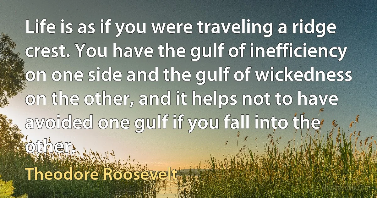 Life is as if you were traveling a ridge crest. You have the gulf of inefficiency on one side and the gulf of wickedness on the other, and it helps not to have avoided one gulf if you fall into the other. (Theodore Roosevelt)