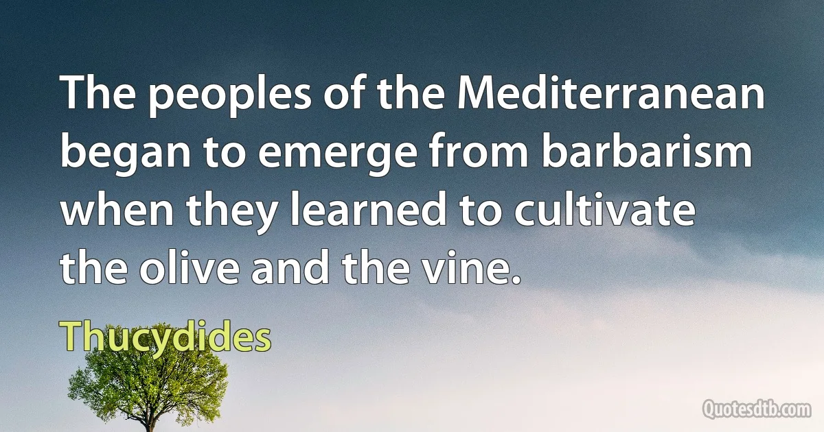 The peoples of the Mediterranean began to emerge from barbarism when they learned to cultivate the olive and the vine. (Thucydides)