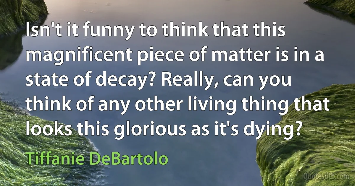 Isn't it funny to think that this magnificent piece of matter is in a state of decay? Really, can you think of any other living thing that looks this glorious as it's dying? (Tiffanie DeBartolo)