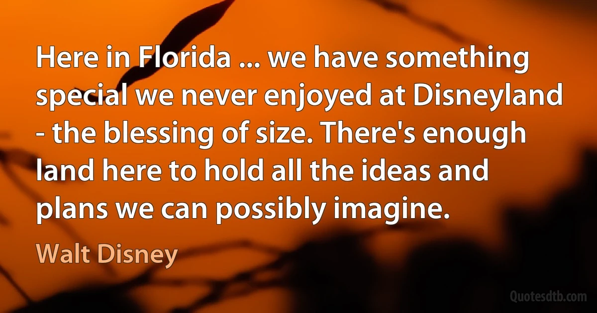 Here in Florida ... we have something special we never enjoyed at Disneyland - the blessing of size. There's enough land here to hold all the ideas and plans we can possibly imagine. (Walt Disney)