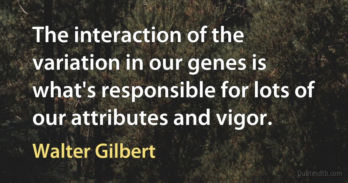 The interaction of the variation in our genes is what's responsible for lots of our attributes and vigor. (Walter Gilbert)