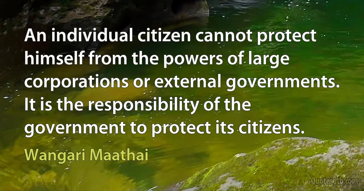 An individual citizen cannot protect himself from the powers of large corporations or external governments. It is the responsibility of the government to protect its citizens. (Wangari Maathai)