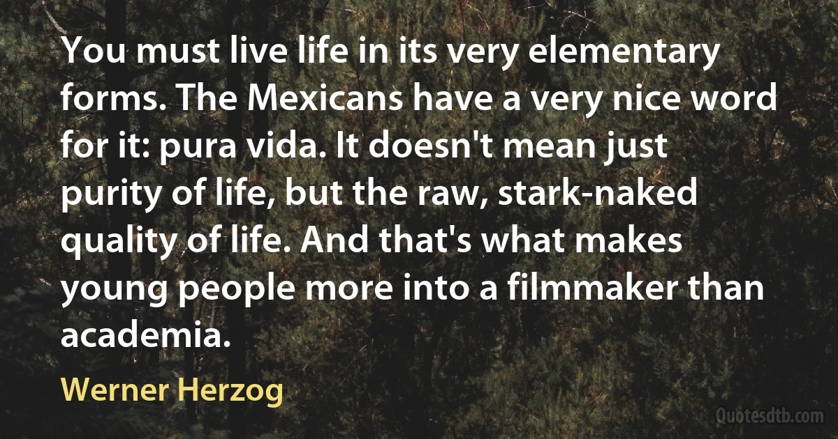 You must live life in its very elementary forms. The Mexicans have a very nice word for it: pura vida. It doesn't mean just purity of life, but the raw, stark-naked quality of life. And that's what makes young people more into a filmmaker than academia. (Werner Herzog)