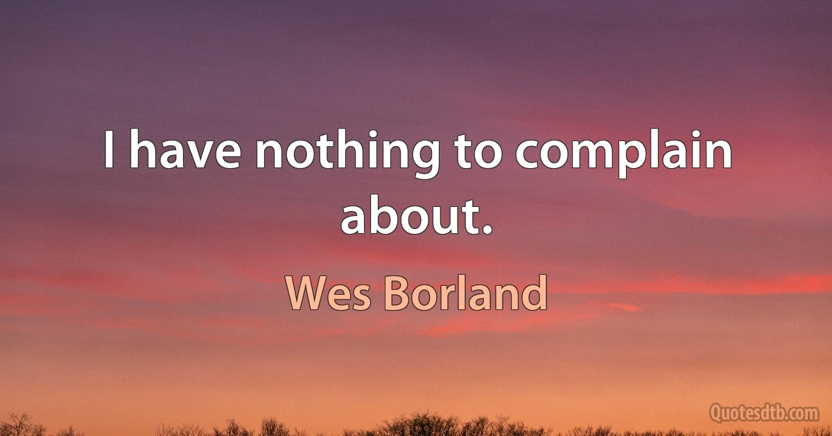 I have nothing to complain about. (Wes Borland)