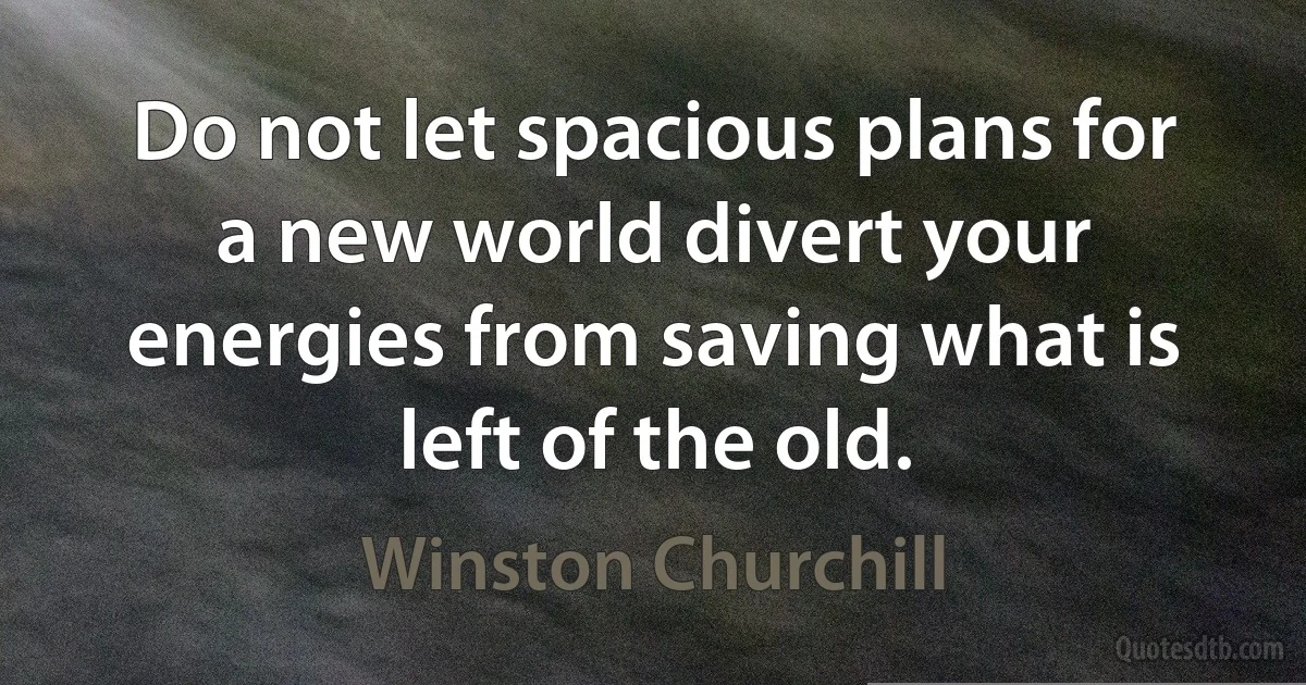 Do not let spacious plans for a new world divert your energies from saving what is left of the old. (Winston Churchill)