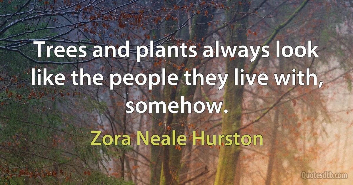 Trees and plants always look like the people they live with, somehow. (Zora Neale Hurston)