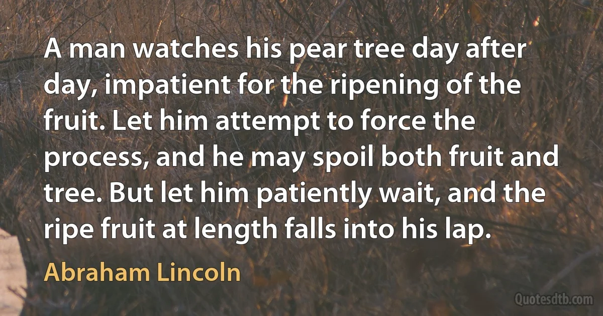 A man watches his pear tree day after day, impatient for the ripening of the fruit. Let him attempt to force the process, and he may spoil both fruit and tree. But let him patiently wait, and the ripe fruit at length falls into his lap. (Abraham Lincoln)