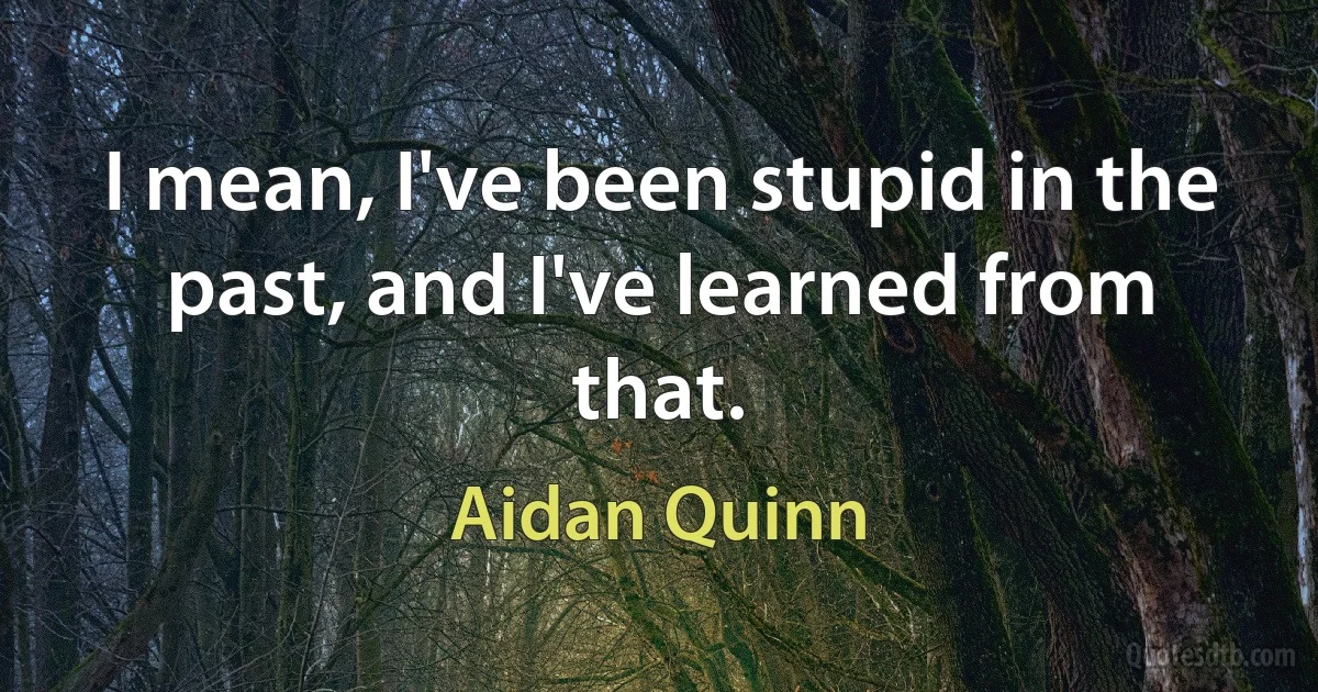 I mean, I've been stupid in the past, and I've learned from that. (Aidan Quinn)