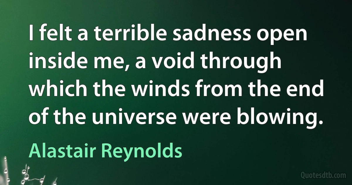 I felt a terrible sadness open inside me, a void through which the winds from the end of the universe were blowing. (Alastair Reynolds)