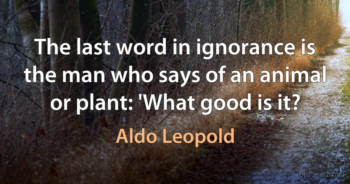 The last word in ignorance is the man who says of an animal or plant: 'What good is it? (Aldo Leopold)