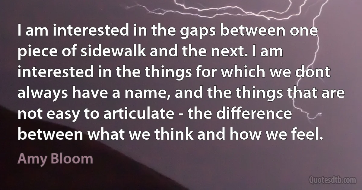 I am interested in the gaps between one piece of sidewalk and the next. I am interested in the things for which we dont always have a name, and the things that are not easy to articulate - the difference between what we think and how we feel. (Amy Bloom)